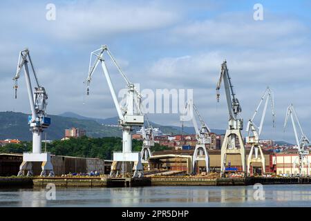 portal cranes. portal cranes in the port. cargo loading area Stock Photo