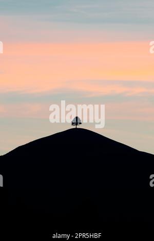 Silhouette of a lone tree on hilltop at dawn, Sumiswald, Emmental, canton of Bern, Switzerland Stock Photo