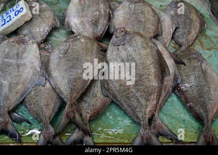 cebu city fish market - vendors selling fresh tasty fish Stock Photo