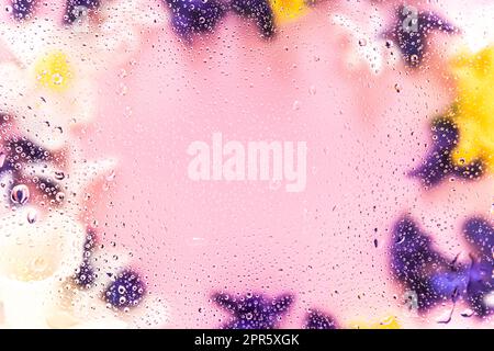 Floral background. Various daffodil flower heads, hyacinth. Water drops on glass Stock Photo