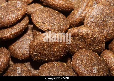 Dogs dry round food close up animals eating background high quality big size print Stock Photo