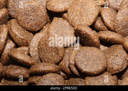 Dogs dry round food close up animals eating background high quality big size print Stock Photo