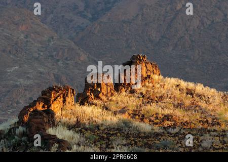 Scenic desert landscape - Brandberg mountain Stock Photo