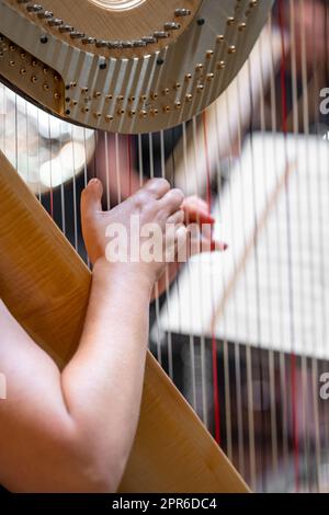 harp on symphony orchestra stage, detail of hands with strings Stock Photo