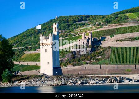 The Mouse Tower (Mäuseturm)  and Ehrenfels castle near Bingen am Rhein in the state of Rhineland-Palatinate in Germany Stock Photo