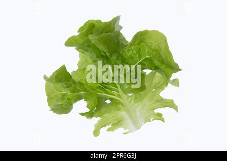 Single lettuce leaf on white background Stock Photo