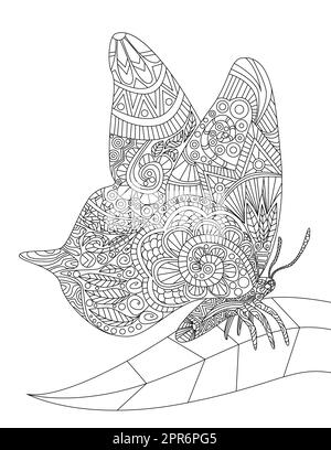 Beautiful Butterfly Resting On A Single Leafe Spreading Wings Line Drawing. Stock Photo