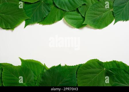 Important Messages Written On Paper Under Lot Of Leaves. Crutial Informations Presented Underneath Group Of Frondles. Critical Announcements Shown. Stock Photo