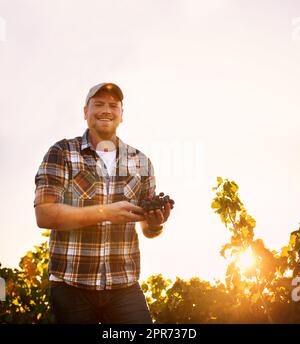 My produce is worth smiling about. Portrait of a happy farmer holding a bunch of grapes while standing in a vineyard. Stock Photo
