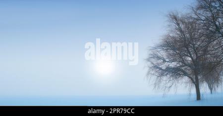 Landscape view of snow fields, copy space and dry tree on a cold winter day in New Zealand. Sun shining over sky and glacier ice on a morning with mist or fog. Background after heavy snowfall Stock Photo