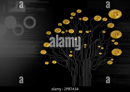 Grow your wealth with crypto. Conceptual image of a bitcoin growing on a tree-shaped circuit board against a dark background. Stock Photo