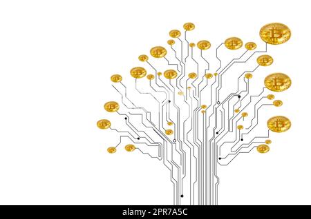 Who said money doesnt grow on trees. Conceptual image of a bitcoin growing on a tree-shaped circuit board against a white background. Stock Photo