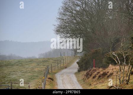 A countryside dirt road leading to agriculture fields or farm pasture in remote area during early morning with fog or mist. Landscape view of quiet, scenery and mystical farming meadows in Germany Stock Photo