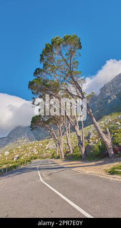 Countryside road by the mountains winding through a scenic rocky hill. Street on the mountain with green trees and cloudy blue sky copy space. A nature path for traveling or hiking in Cape Town Stock Photo