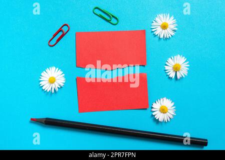 Ripped Sticky Note With Two Important Messages With Pencil, Flowers And Paperclips Around. Teared Apart Memo With Different Informations With Colofrul Clips All Over. Stock Photo