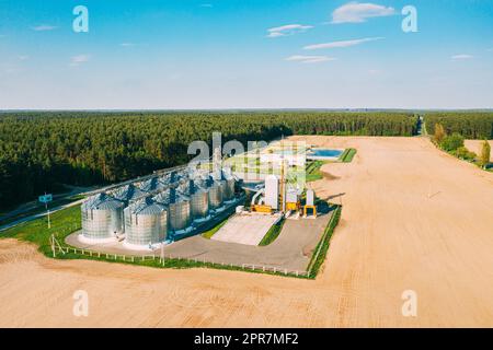 Aerial View Modern Granary, Grain-drying Complex, Commercial Grain Or Seed Silos In Sunny Spring Rural Landscape. Corn Dryer Silos, Inland Grain Terminal, Grain Elevators Standing In A Field Stock Photo