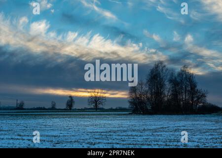 Abstract clouds in the winter evening and trees in the field Stock Photo