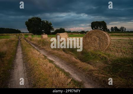 Country road next to a field with hay bales Stock Photo