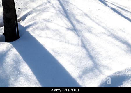 On a sunny winter day, natural shadows from trees form on the snow surface, an abstract pattern Stock Photo