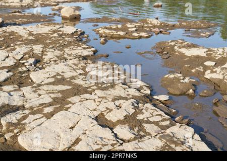 Exposed parched riverbed of the Elbe River in Magdeburg, Germany during severe drought in summer Stock Photo