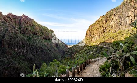 Enjoy a panoramic view from the Barranco del Infierno ravine, Hell's gorge, over the Atlantic Ocean, capturing Adeje town and La Caleta village. Stock Photo