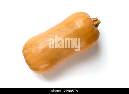 Butternut squash isolated on white background Stock Photo