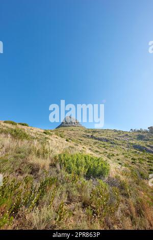 Copy space with a scenic landscape of clear sky covering the peak of Lions Head in Cape Town on a summer morning from below. Beautiful views of plants and trees around an iconic natural landmark Stock Photo