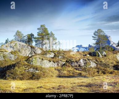 A landscape of a mountain with trees and brown grass growing outdoors in nature on a winter day. Land with dry or arid plants and a rocky hill with a cloudy blue sky background Stock Photo