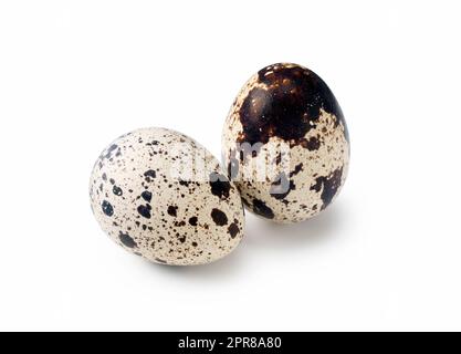 Quail eggs placed on a white background Stock Photo