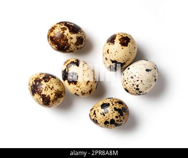 Quail eggs placed on a white background Stock Photo
