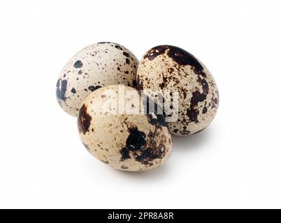 Quail eggs placed on a white background Stock Photo