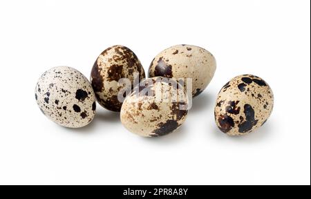 Quail eggs placed on a white background Stock Photo