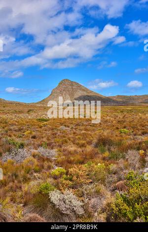 The wilderness of Cape Point National Park. Copy space with the scenery of Lions Head at Table Mountain National Park in Cape Town against a cloudy blue sky background. A scenic view. Stock Photo