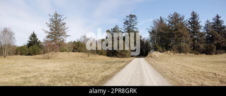 Copyspace with a path winding through dry grassland in nature in Kattegat, Jutland, Denmark against a blue sky background. Scenic landscape of a gravel road leading to a forest in a plain open meadow Stock Photo