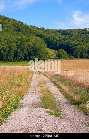 Dirt road on a farm land leading into a green forest with blue sky background. Rough path with a yellow wheat field on a sustainable agriculture farmland. Empty farming grassland by the countryside Stock Photo