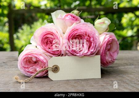 pink roses and card with copy space Stock Photo