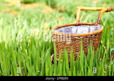 Wooden wicker brown cart in a garden on a green lawn Stock Photo