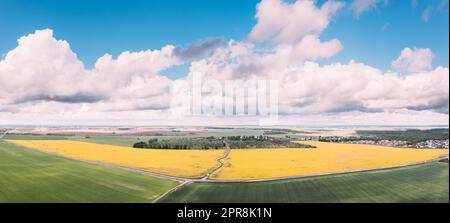 Aerial View Of Agricultural Landscape With Flowering Blooming Rapeseed, Oilseed In Field Meadow In Spring Season. Blossom Of Canola Yellow Flowers. Beautiful Rural Landscape In Bird's-eye View. Panorama Stock Photo