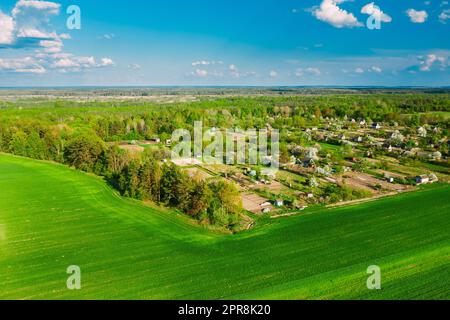 Countryside Rural Green Field Landscape With Young Wheat Sprouts And Small Russian Village In Spring Summer Cloudy Day. Agricultural Field. Young Wheat Shoots. Aerial View Stock Photo