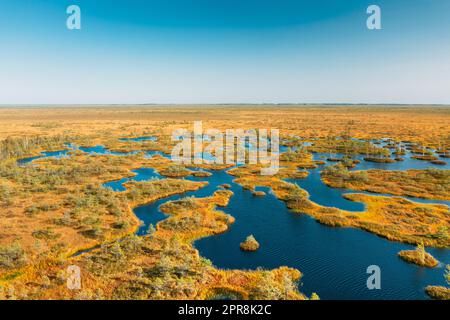 Miory District, Vitebsk Region, Belarus. The Yelnya Swamp. Upland And Transitional Bogs With Numerous Lakes. Elevated View Of Yelnya Nature Reserve Landscape. Famous Natural Landmark Stock Photo