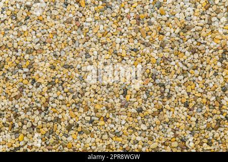 brown pavement lined with tiny round pebbles  Stock Photo