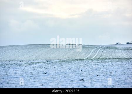 Countryside landscape on a cold winter day with cloudy sky background and copy space. Nature landscape of a farm field, meadows or grass land covered in white snow on a bright overcast morning Stock Photo