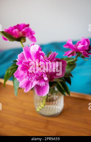Beautiful pink peonies in a glass vase are standing on a wooden tray in bed. Close-up. Stock Photo