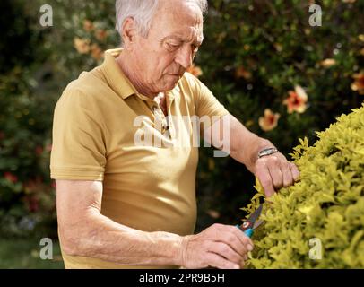 My Eden. an elderly man trimming his plants in his backyard. Stock Photo