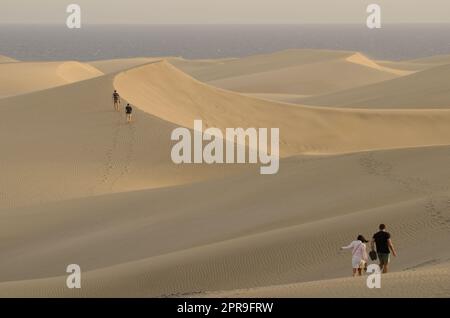 People walking in sand dunes. Stock Photo