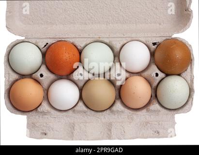 Open compostable egg tray of ten fresh organic raw chicken eggs in different natural color shades seen directly from above. Top view and close up imag Stock Photo
