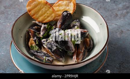 Blue mussels  stewed in cream wine sauce with garlic and herbs. Italian or French traditional food Stock Photo