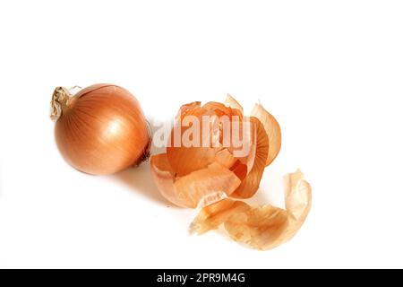Onion and Onion Peel Isolated on White Background Stock Photo