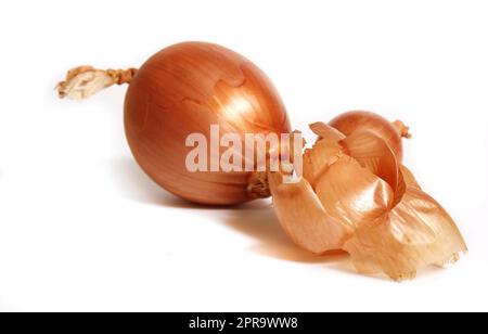 Onion and Onion Peel Isolated on White Background Stock Photo