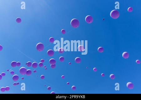 Violet balloons on a blue sky Stock Photo